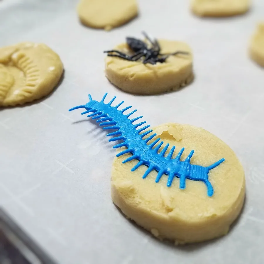 Make your own limestone fossil imprints on sugar cookies